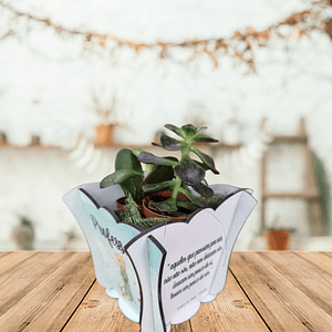 Vaso personalizado com suculentas 