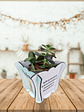 Vaso personalizado com suculentas  - thumbnail 2