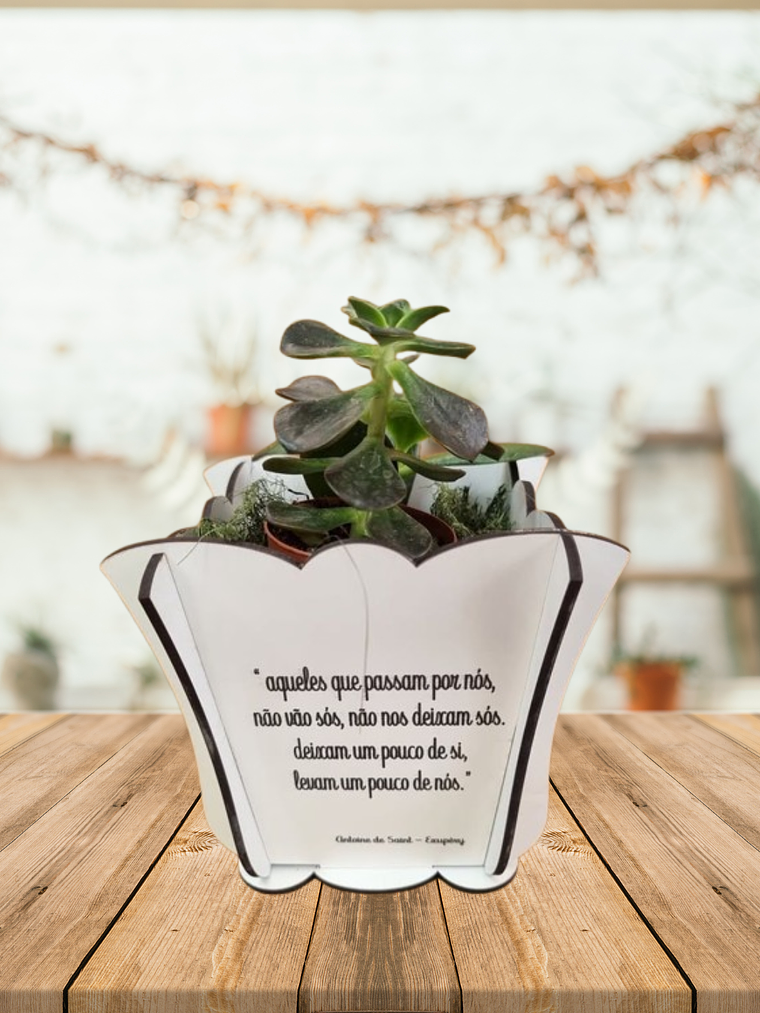 Vaso personalizado com suculentas  3