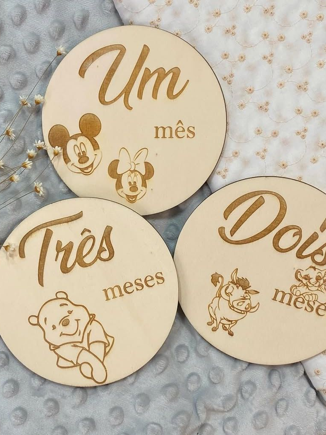 Placas de nascimento com bonecos da disney 1