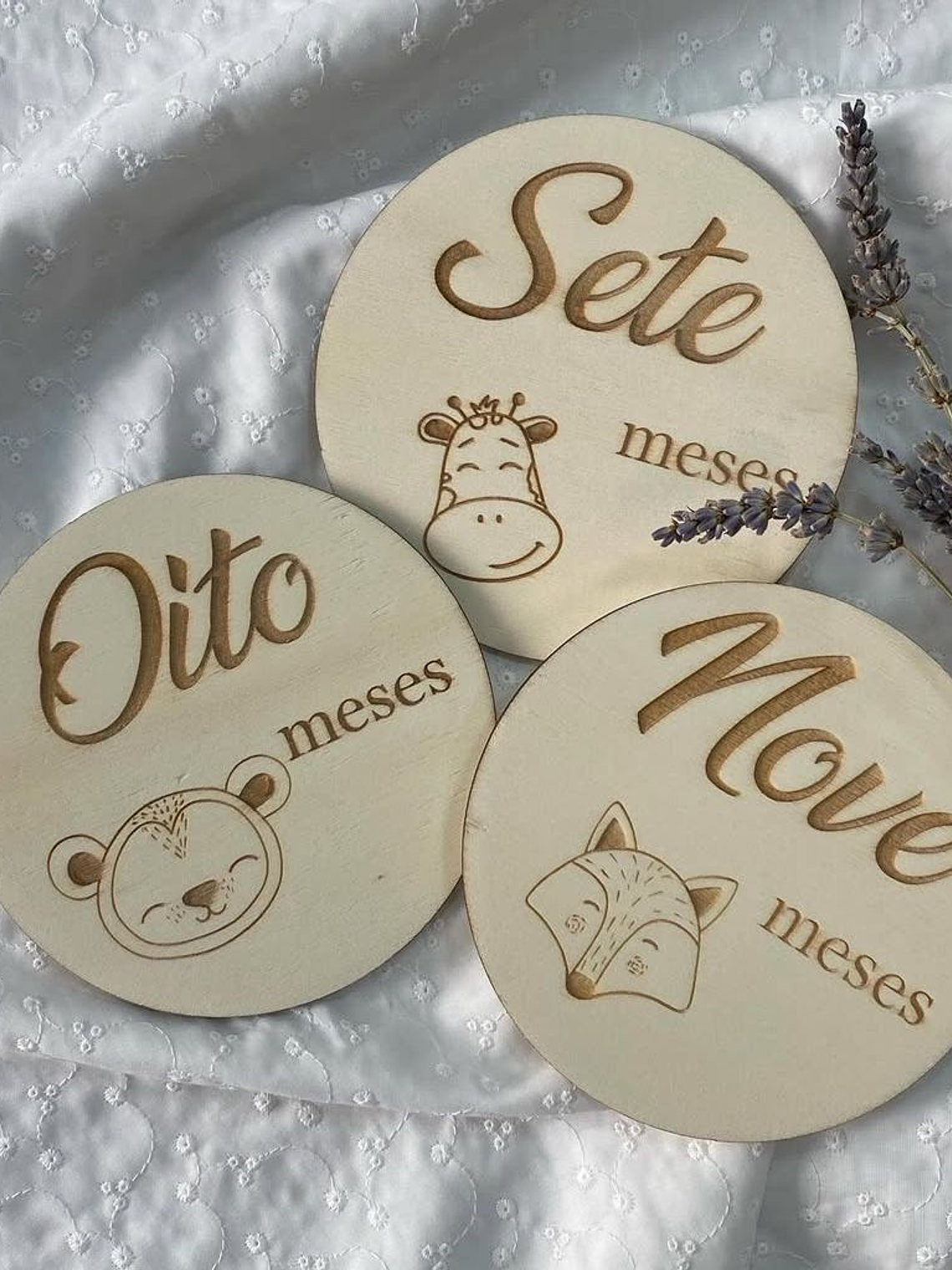 Placas de nascimento com animaizinhos  3