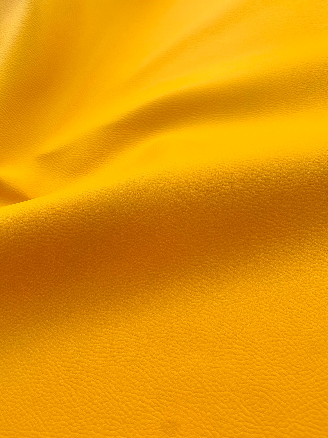 Napa amarela torrado 1