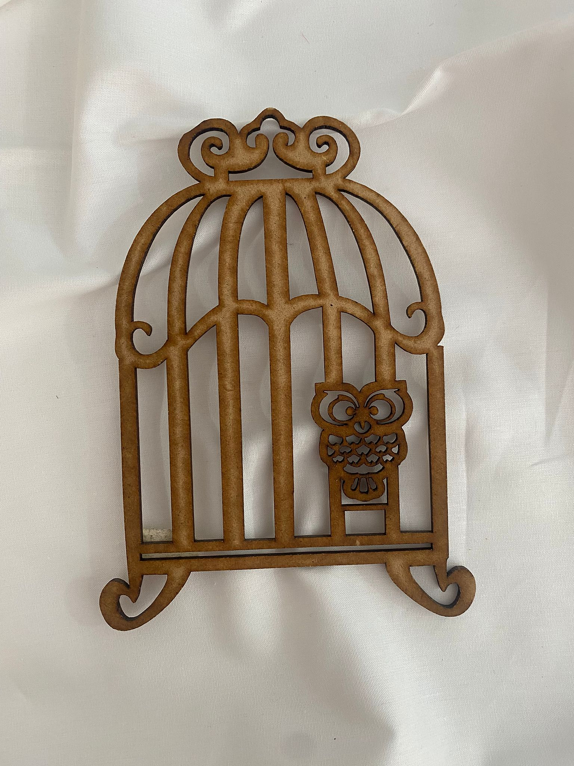 Gaiola com coruja  1