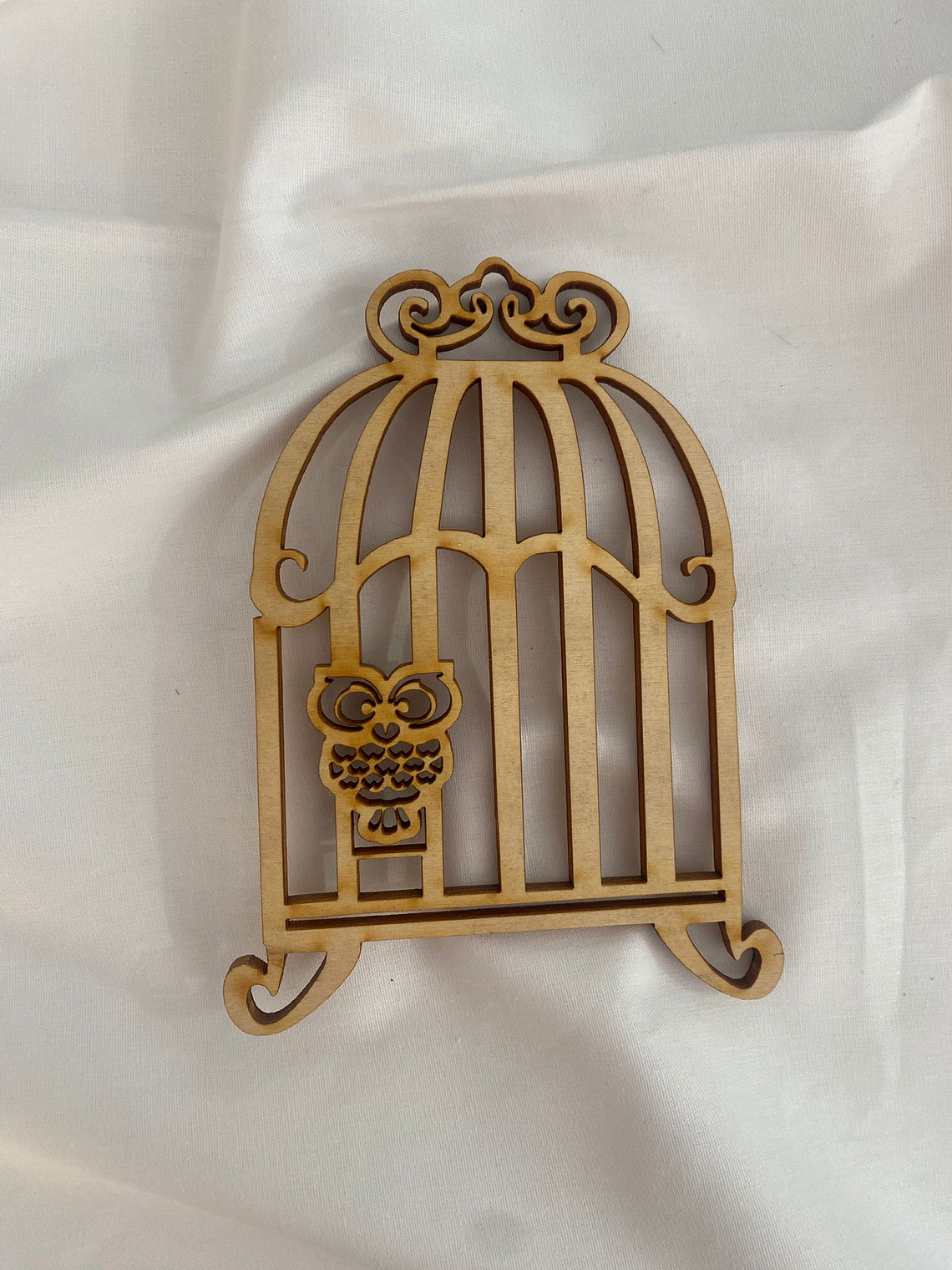 Gaiola com coruja  2