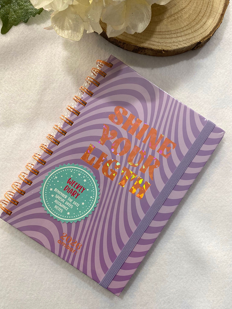 Agenda 2026 shine your light  1