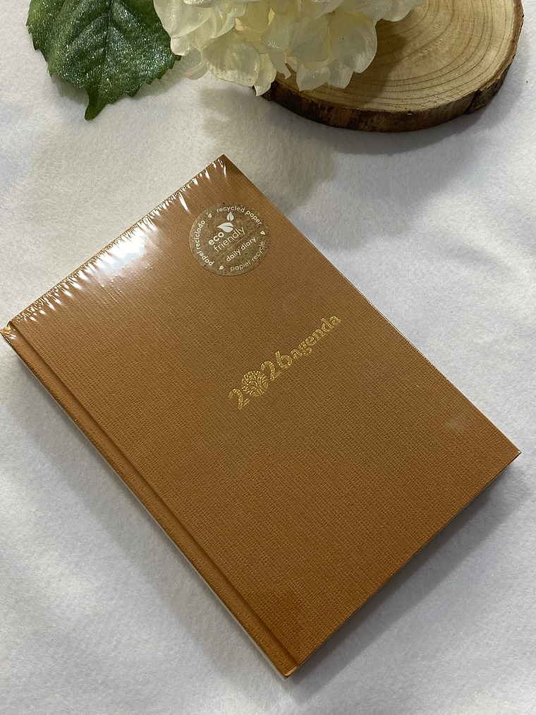 Agenda castanha 2026 1