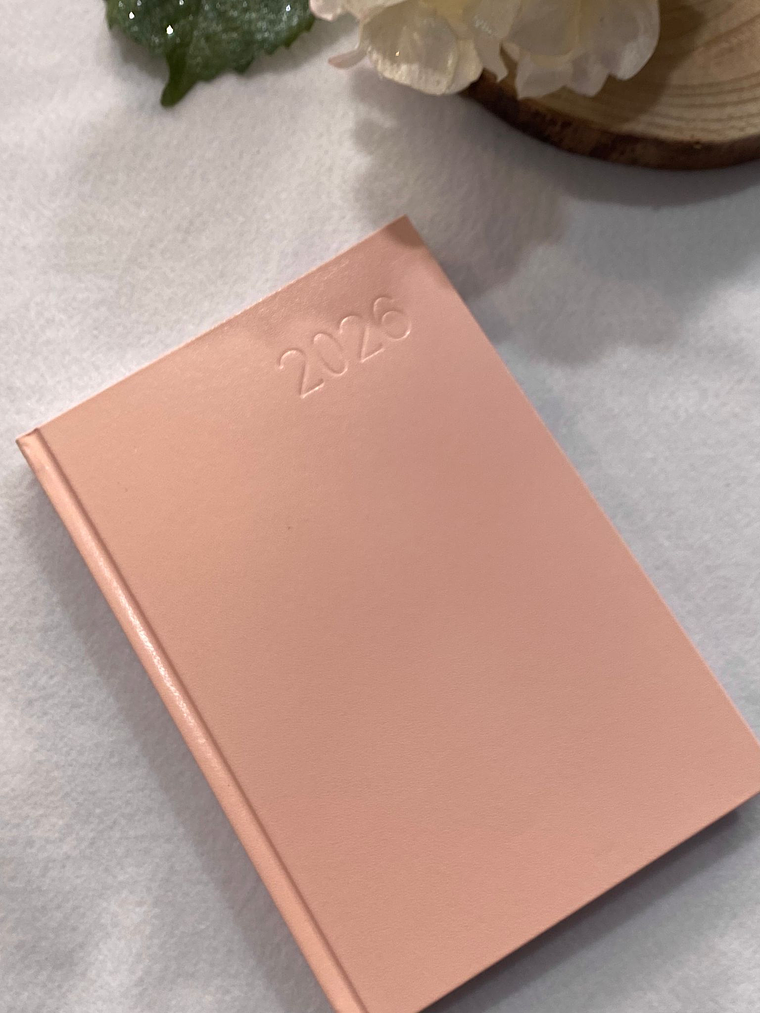 Agenda rosa bebé 2026 1