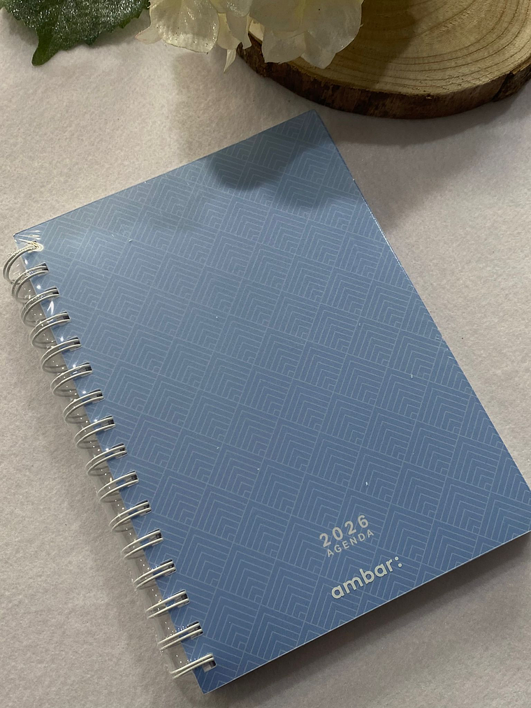 Agenda azul com figuras geométricas 2026 1