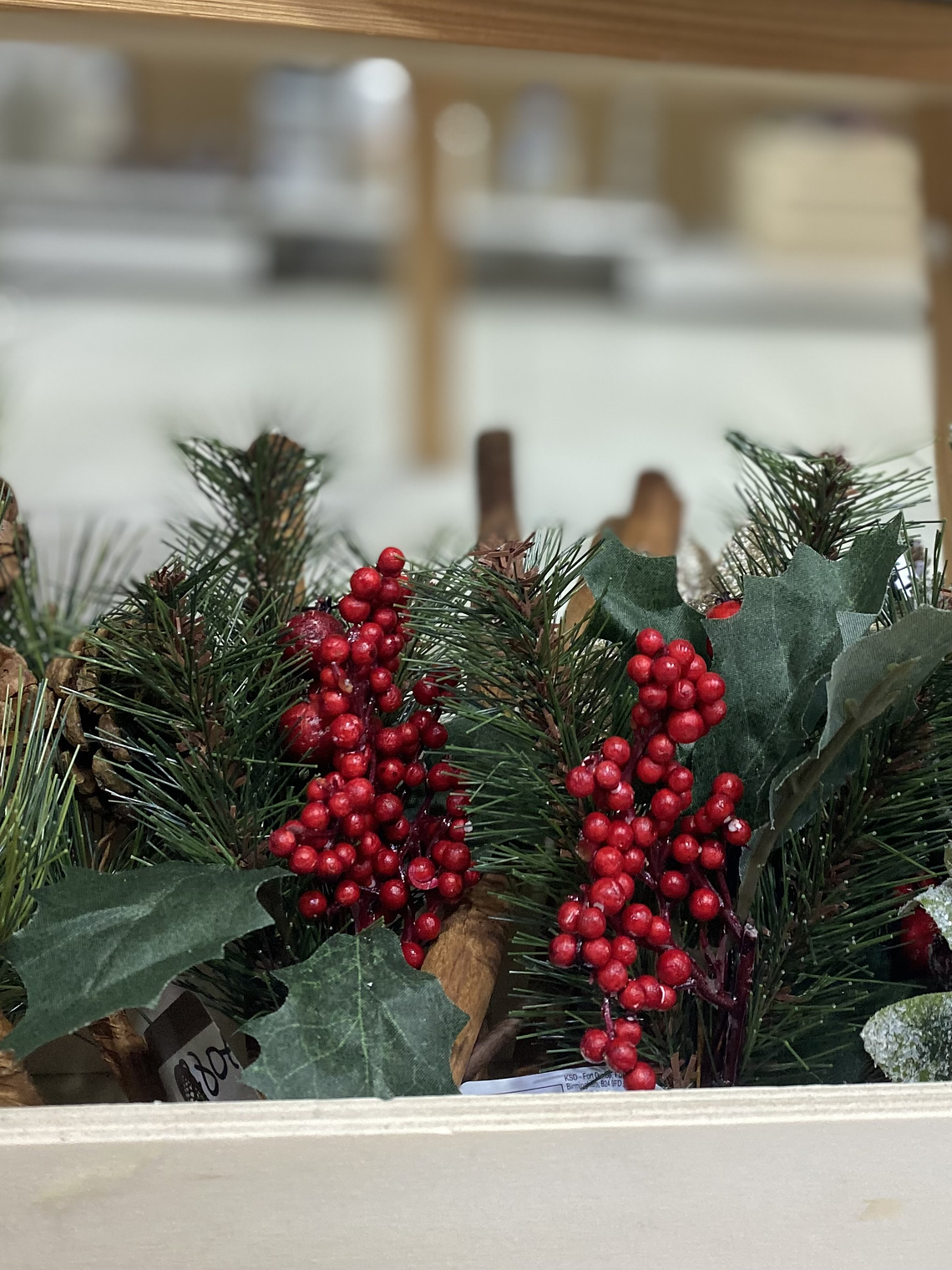 Azevinho simples para decoração  1