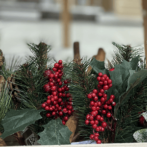 Azevinho simples para decoração 