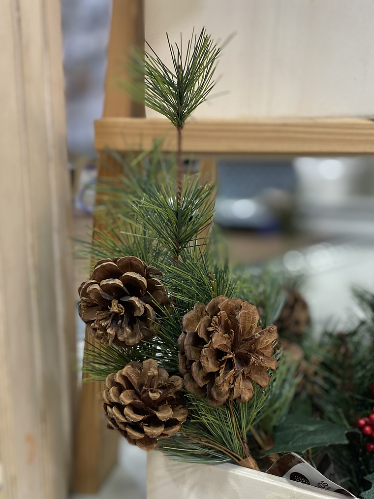 Azevinho com pinhas  1