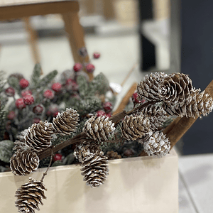 Pau com pinhas com neve 