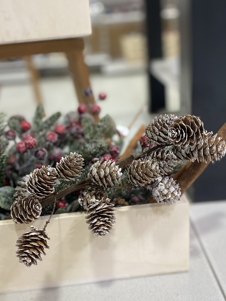 Pau com pinhas com neve  1