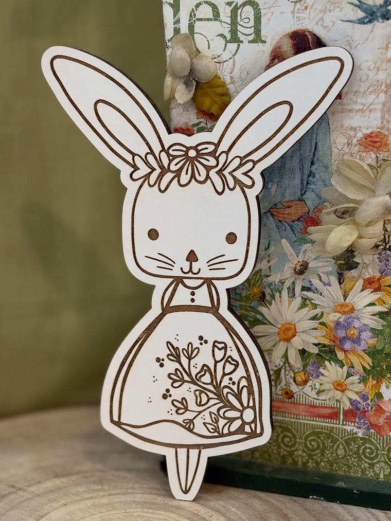 placa coelha  gravação a laser 1