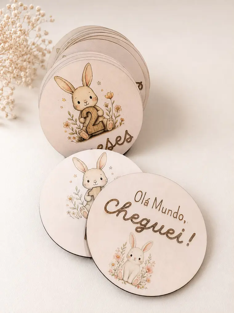 Placa dos meses coelhinhos  1