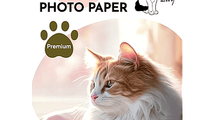 Papel Fotográfico Lily Glossy 100 Hojas