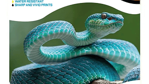 Vinilo Adhesivo imprimible blanco A4