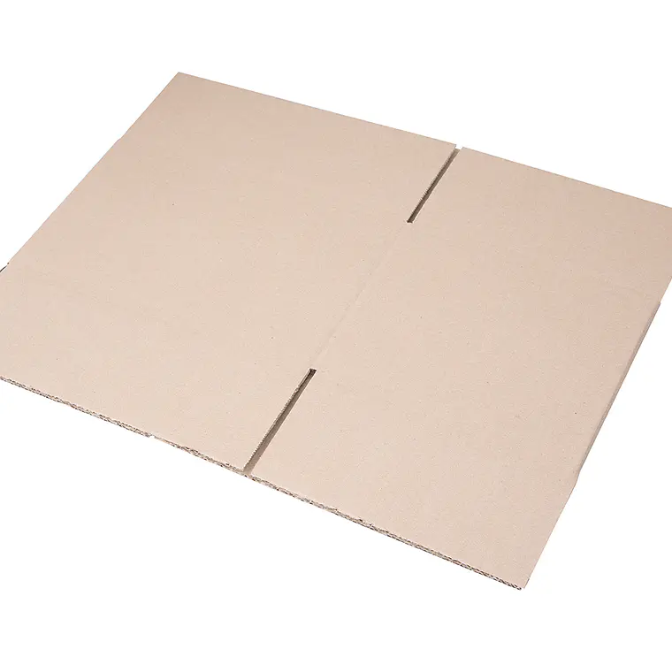 Caja de cartón - Convencional 2