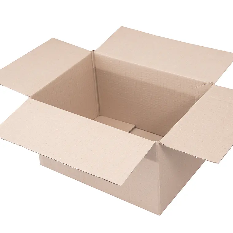 Caja de cartón - Convencional 3