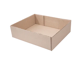 Caja de Cartón - Bandeja