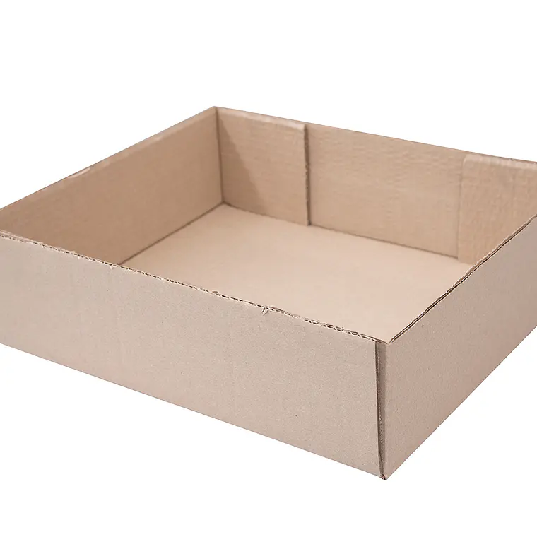 Caja de Cartón - Bandeja 1