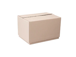 Caja de cartón – Telescópica