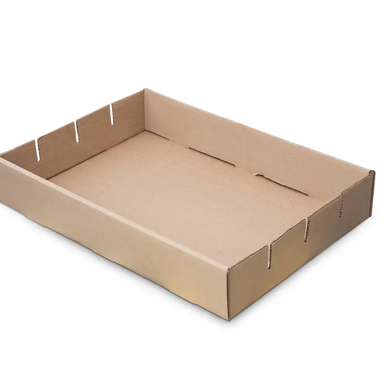 Cajas Troqueladas o Autoarmables 2