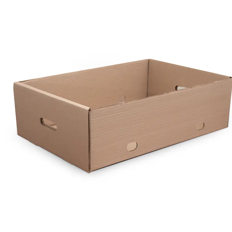Cajas Troqueladas o Autoarmables 5