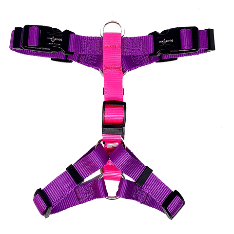 Mascoideas Arnés en H con Antitirón Morado-Rosado Talla S