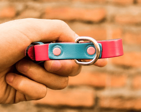 Mauloa Modelo Snoopy A - Collares para Perros en Cuero