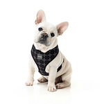 Fuzzyard Arnés Para Perros Modelo Yeezy Talla S