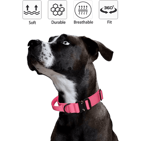Collar Táctico Liviano Rosado Talla M - Collar Para Perros Moderno 2024
