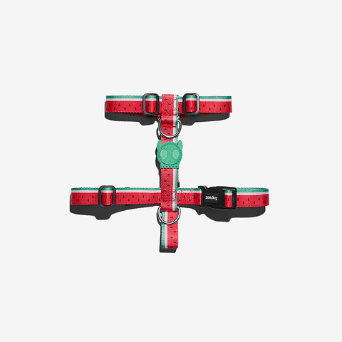 Zeedog Lola H-Harness 🐕🇺🇸 - Arnés Para Perros 