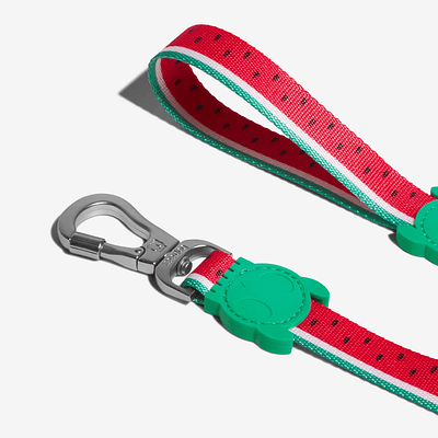 Zeedog Lola Leash 🐕🇺🇸 - Correa Para Perros 