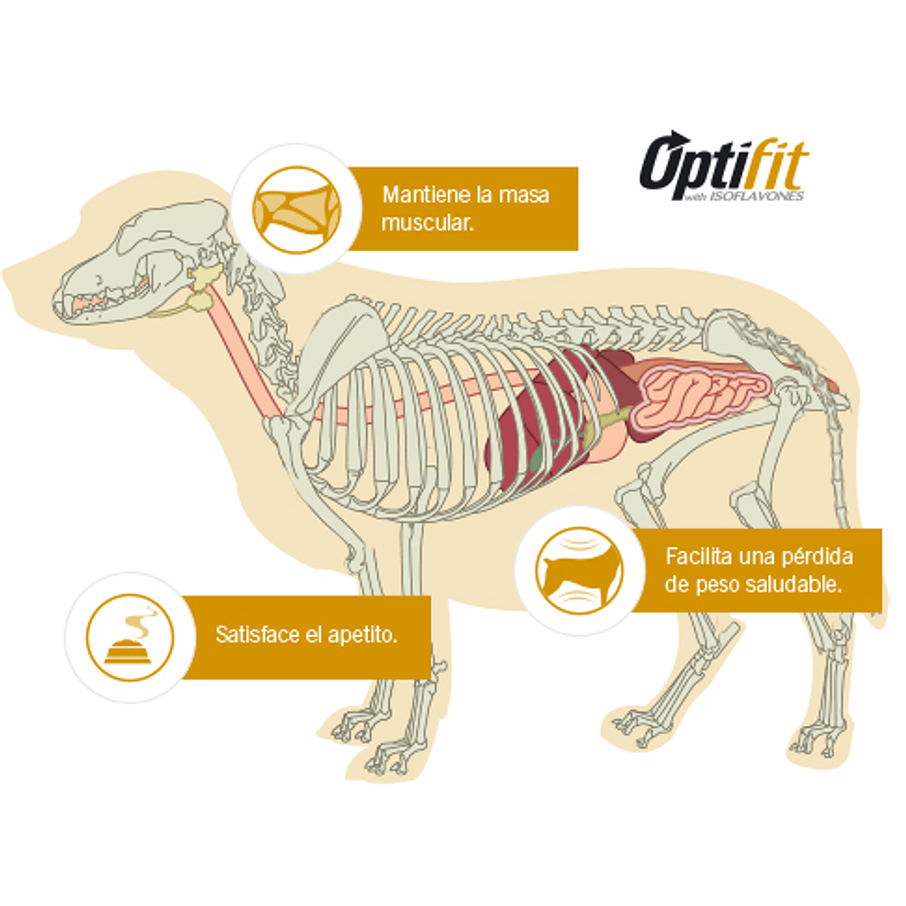 Pro PLan Reduced Calorie Small Breed 3 kg 🇺🇸 - Reducción Calorías Razas Pequeñas