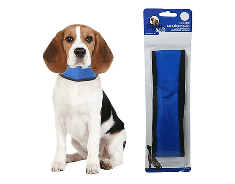 Collar Refrigerante Para Perros