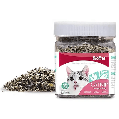 Hojas de Catnip Para Gatos 20 g Bioline