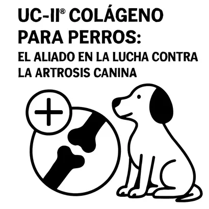 UC-II® Colágeno para Perros: El Aliado en la Lucha contra la Artrosis Canina