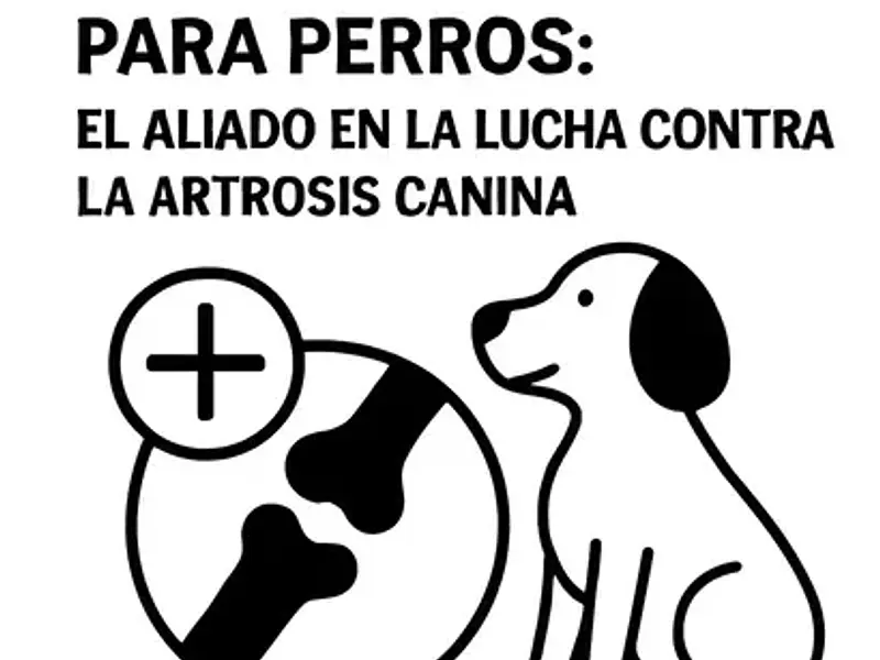 UC-II® Colágeno para Perros: El Aliado en la Lucha contra la Artrosis Canina
