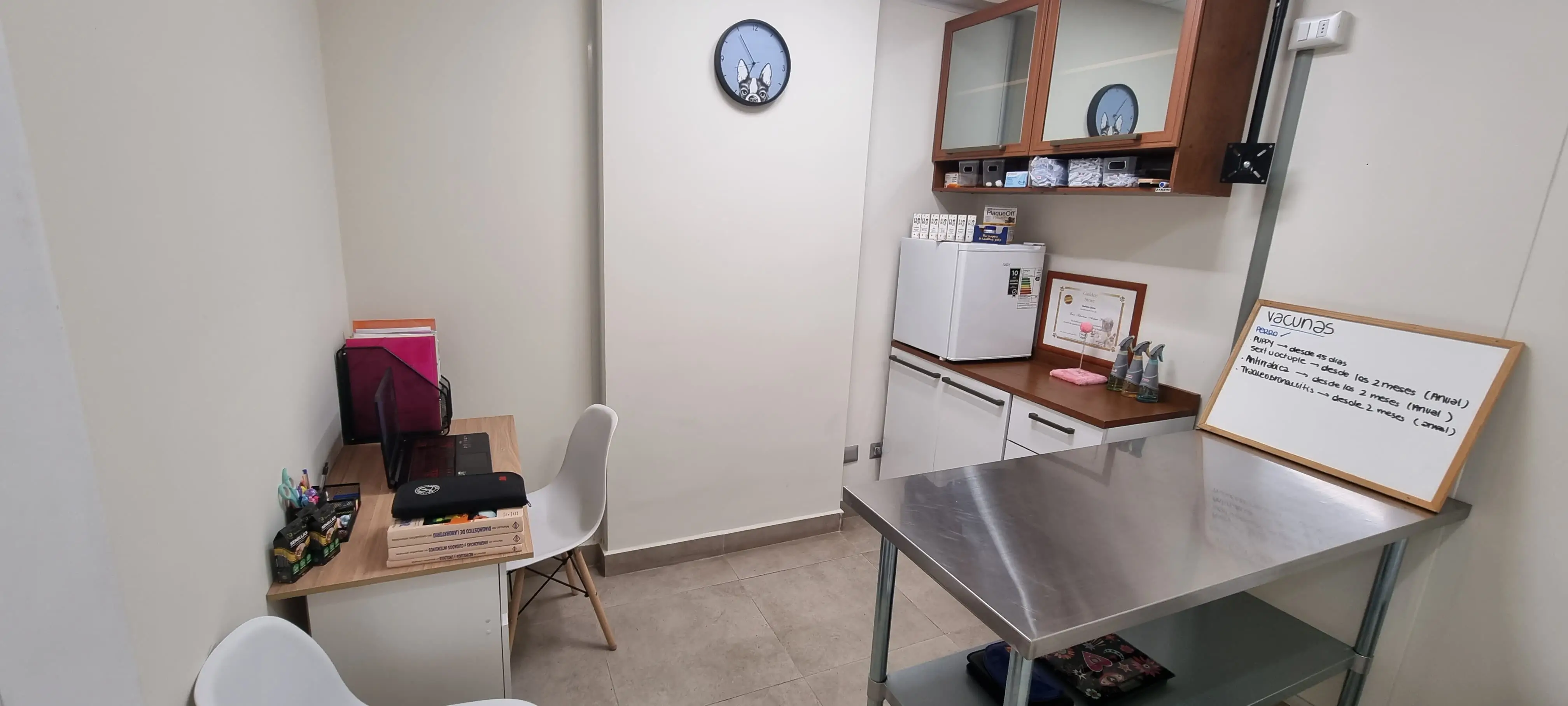 Veterinaria en Reñaca | Consulta y Especialidades para Mascotas