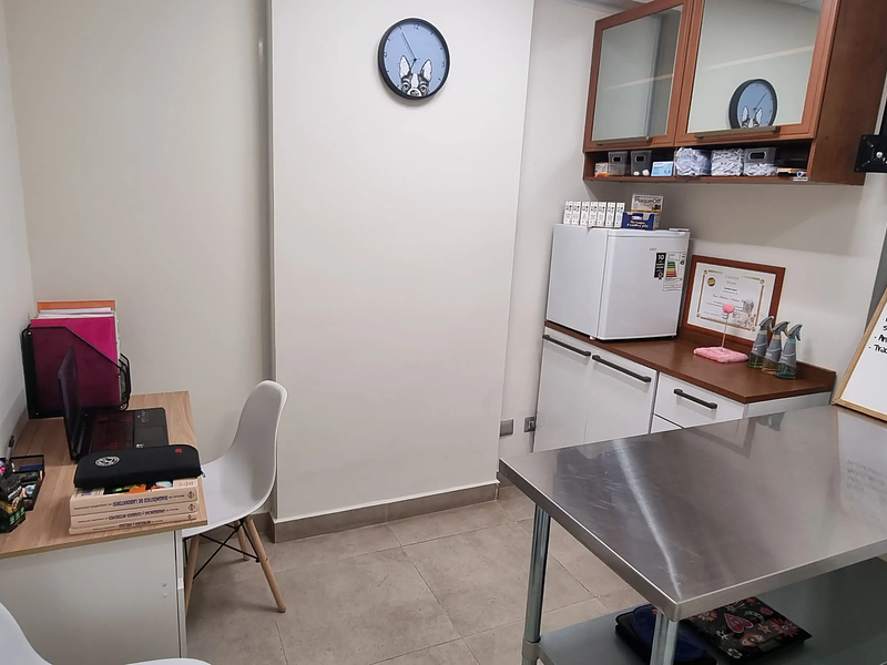 Veterinaria en Reñaca | Consulta y Especialidades para Mascotas