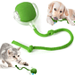 Pelota Giratoria Led Interactiva Para Perros Gatos Recargable Usb  - Miniatura 2