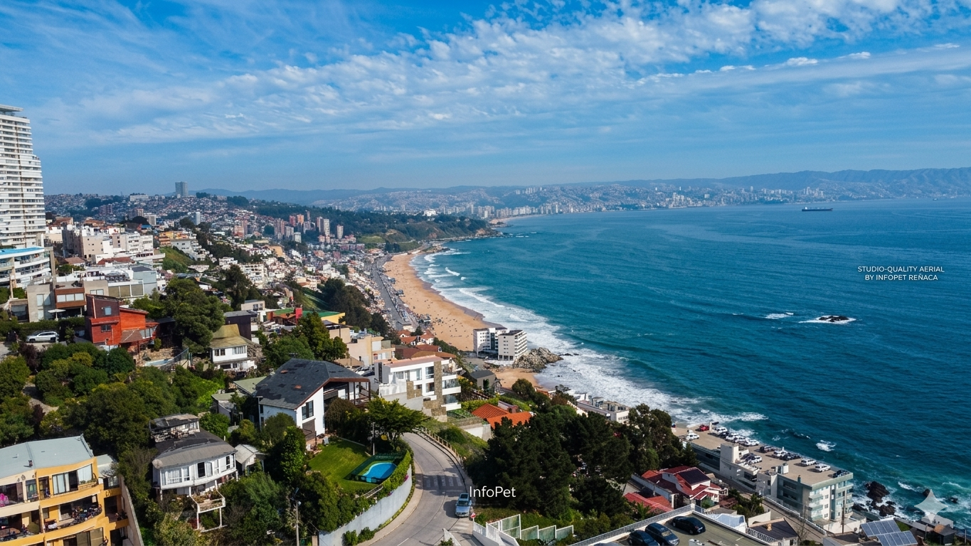 ¿Se puede ir con perros a Reñaca en 2026? Playas donde sí puedes ir sin multas