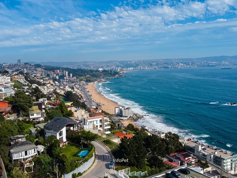 ¿Se puede ir con perros a Reñaca en 2026? Playas donde sí puedes ir sin multas