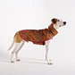 Impermeable Zee Dog Raincoat Selva Talla Small | Rip-Stop Plegable - Miniatura 2