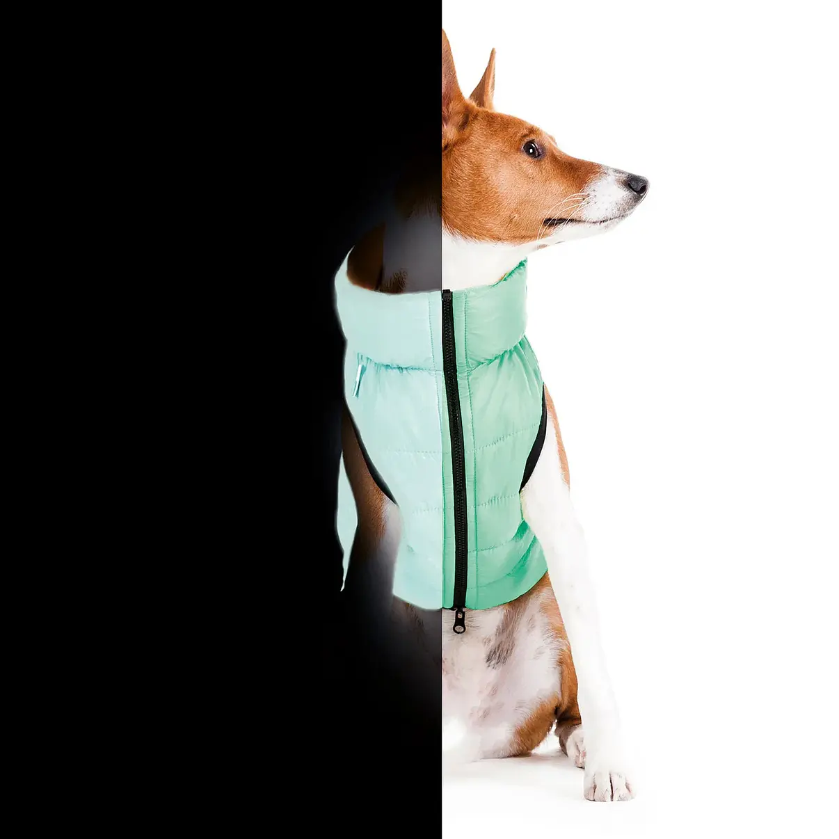 Chaqueta Lumi Verde/celeste Xs22 2