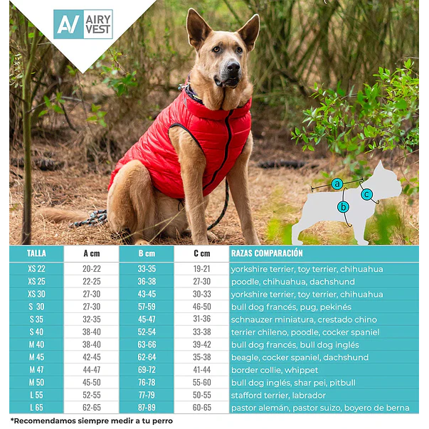Chaqueta Lumi Verde/celeste Xs22 3