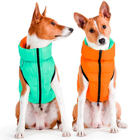 Chaqueta Lumi Verde/naranja M45