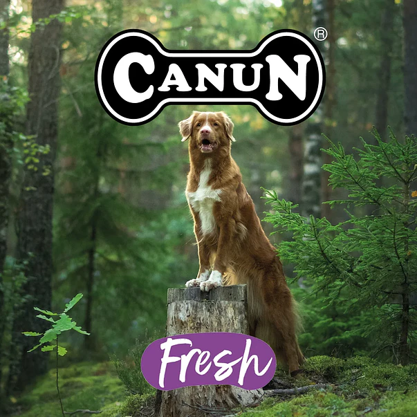Canun Fresh Light & Senior 3 kg Grain Free | Alimento Premium Perros 2