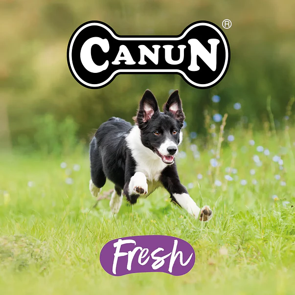 Canun Fresh Puppy Delice Grain Free 3 kg  | Alimento Premium Cachorros 2